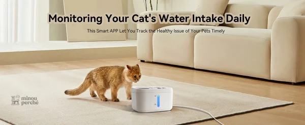 Solution pratique pour l'hydratation des chats