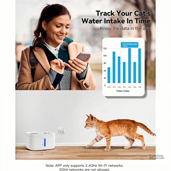 Accessoire pour hydratation féline connectée