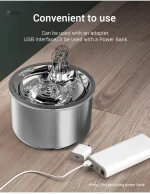 Solution pratique pour le bien-être des chats