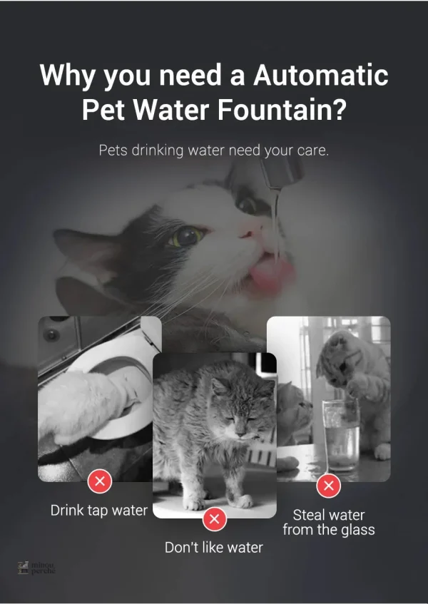 Fontaine moderne en acier pour animaux