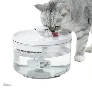 Fontaine à eau pour chat design silencieuse 1,8L