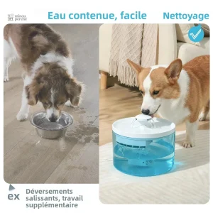 Distributeur d'eau silencieux pour félins