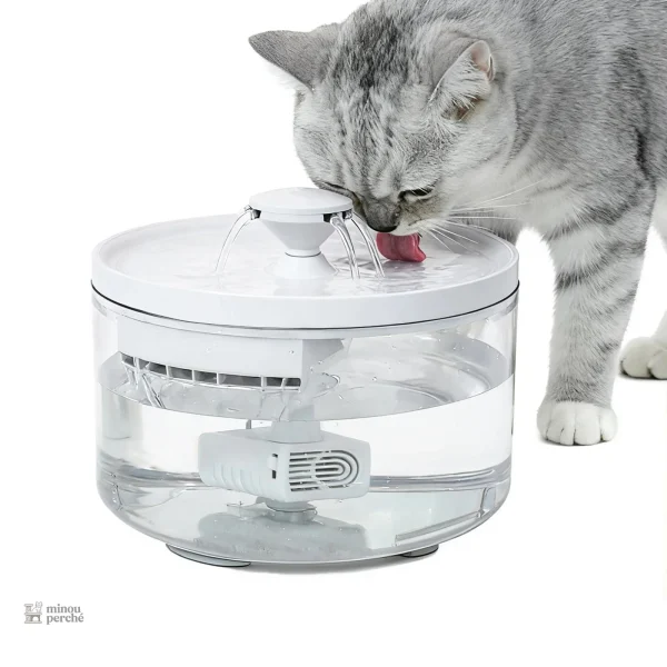 Fontaine à eau silencieuse pour animaux de compagnie