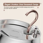 Fontaine automatique pour chat au design élégant en inox