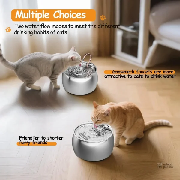 Accessoire pour chat : fontaine d'eau silencieuse et pratique