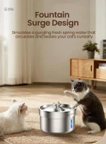 Accessoire essentiel pour l'hydratation des chats