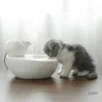 Fontaine en céramique pour l'hydratation des chats