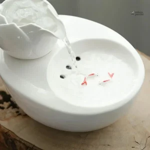 Design élégant de fleur pour le bien-être félin