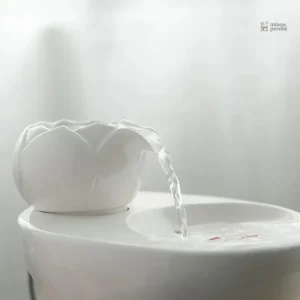 Distributeur d'eau pour chats en céramique
