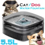 Fontaine à eau pour chat et chien 5.5L Grande Rivière