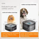 Fontaine à eau design pour animaux domestiques