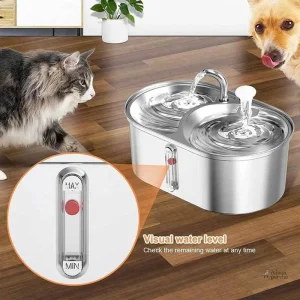 Design inox élégant de la fontaine pour chat
