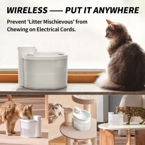 Distributeur d'eau pour chats, modèle sans fil 2L