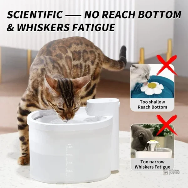 Fontaine à eau 2L pour chats, autonomie sans fil