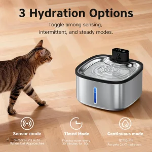 Distributeur d'eau pour félin, design élégant et pratique