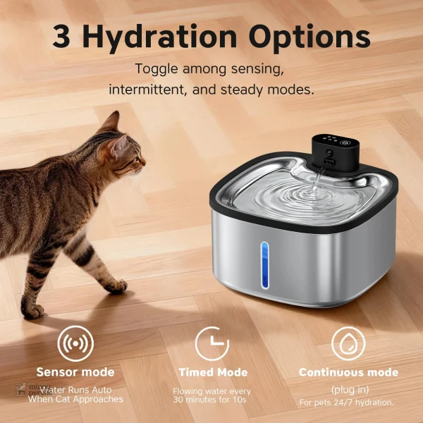 Distributeur d'eau pour félin, design élégant et pratique