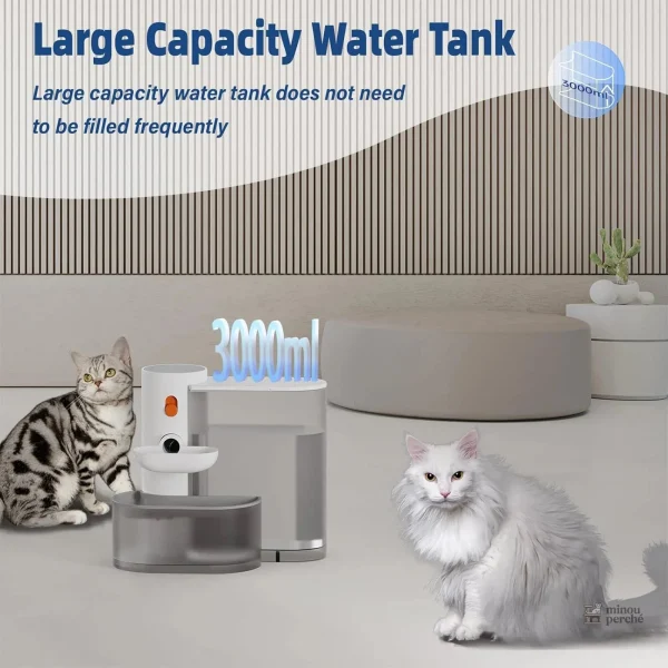 Source d'eau pour chat, silencieuse et efficace