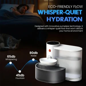 Fontaine sans fil pour hydratation optimale