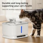 Fontaine à eau pour chat Source Zen en acier inoxydable