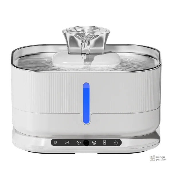 Distributeur d'eau pour chat avec design en inox