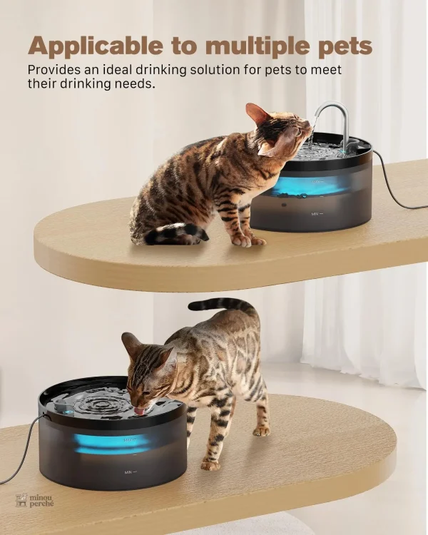 Accessoire pour chats : fontaine d'eau nocturne