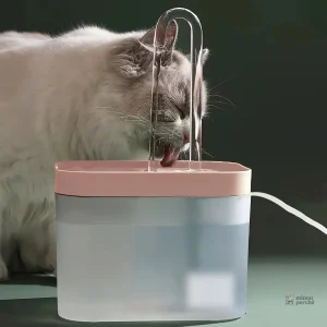 Source d'hydratation pour chat, fonctionnement silencieux