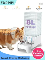 Fontaine à eau pour chat AquaMiaou surélevée