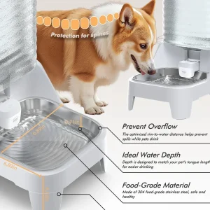 AquaMiaou : fontaine à eau pour chats élégante