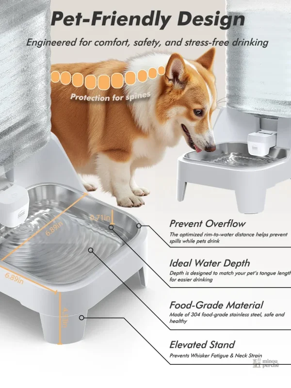 AquaMiaou : fontaine à eau pour chats élégante