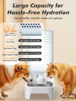 AquaMiaou, la solution d'hydratation pour votre chat