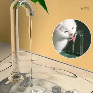 Système de filtration pour une eau fraîche et propre