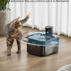 Fontaine à eau inox pour animaux - MiaouFlow