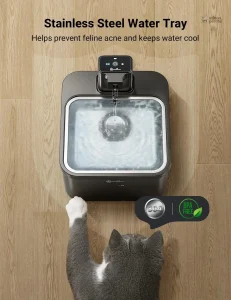 MiaouFlow : fontaine à eau pour chat élégante et pratique