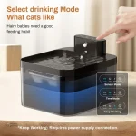 Miaou Sense : fontaine intelligente et anti-gaspillage