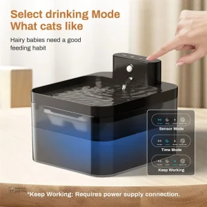 Miaou Sense : fontaine intelligente et anti-gaspillage