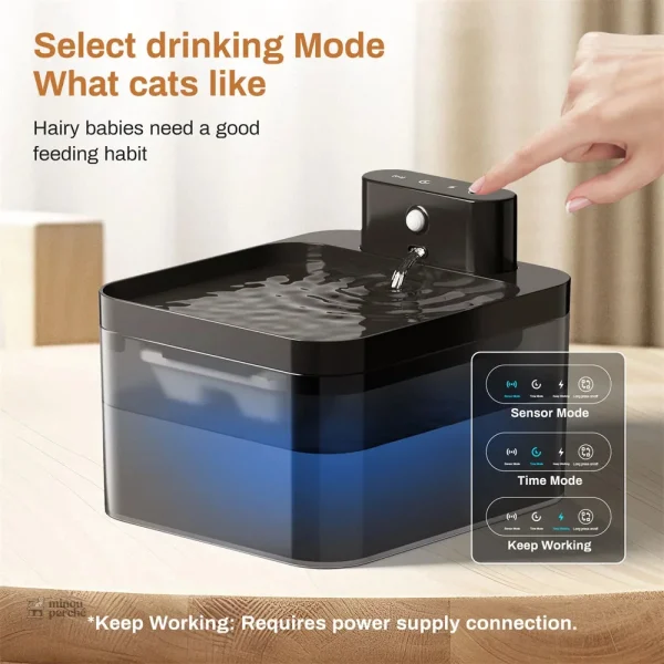 Miaou Sense : fontaine intelligente et anti-gaspillage