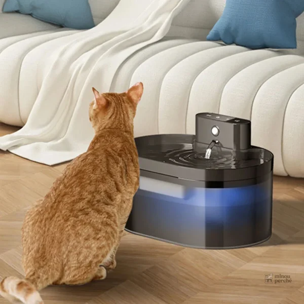 Fontaine à eau pour chat, batterie rechargeable incluse