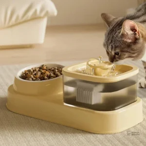 Fontaine à eau pour chat Miaou Duo Fresh