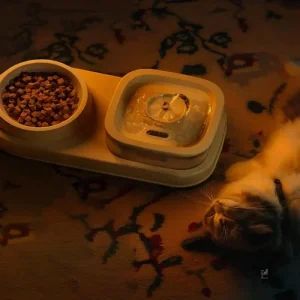 Accessoire pratique pour l'hydratation des chats