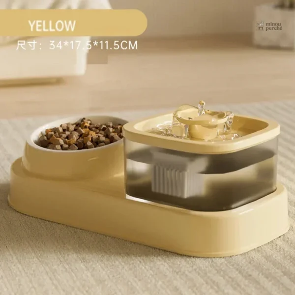 Mélange d'eau filtrée et croquettes pour chats heureux
