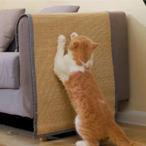 Griffoir chat pour protection de canapé et meubles