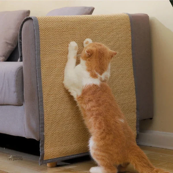 Griffoir chat pour protection de canapé et meubles