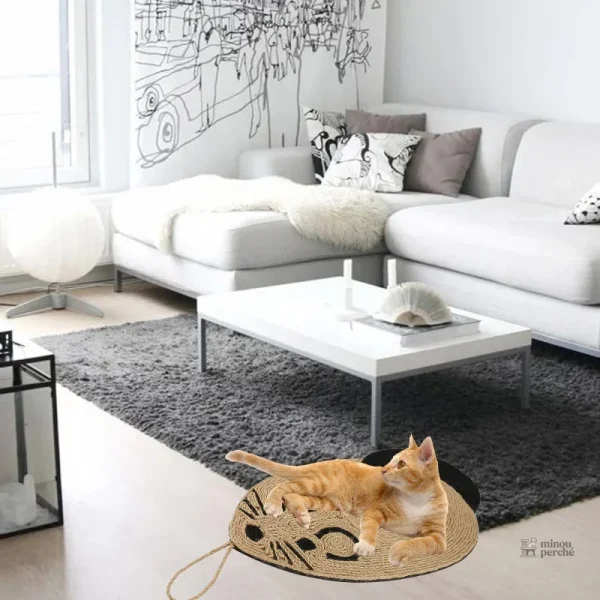 Souris griffoir pour chats, confort et divertissement