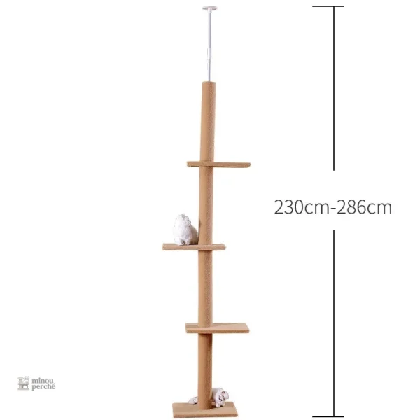 SkyTower, refuge et terrain de jeu pour votre Maine Coon