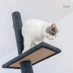 Modèle SkyTower, arbre à chat pour chats de grande taille