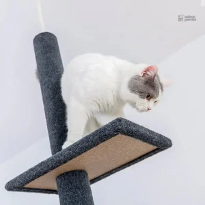 Modèle SkyTower, arbre à chat pour chats de grande taille