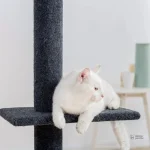 Arbre à chat Maine Coon, design ajustable au plafond