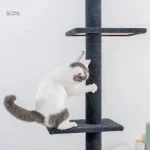SkyTower, arbre à chat pour un confort optimal des chats