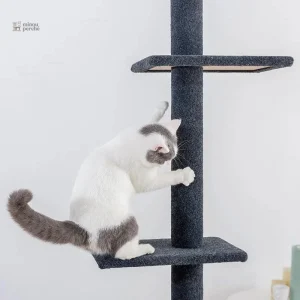 SkyTower, arbre à chat pour un confort optimal des chats