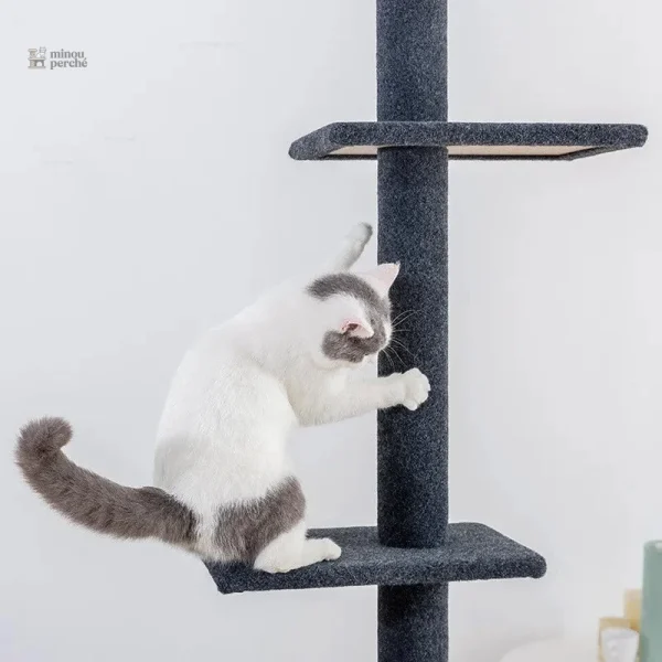 SkyTower, arbre à chat pour un confort optimal des chats